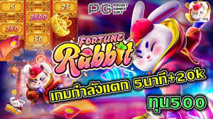 horario rabbit fortune